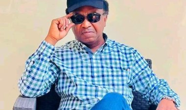 2023: Miyetti Allah Didn’t Buy Any Forms For Goodluck Jonathan – Shehu Sani