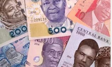 Naira notes will be out of circulation soon, says CBN official