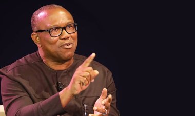 Peter Obi Pulls Out Of PDP Presidential Race, Dumps Party