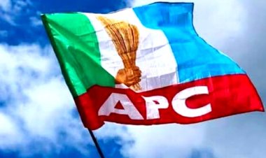 Reps Race: Buhari’s Nephew, Others, Lose APC Tickets As Doguwa, Betara Win