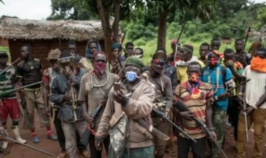 Cameroonian Militants Invade Nigeria, Gun Down 20