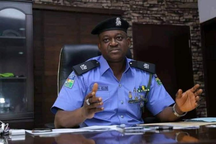Sleeping With Dogs , Animals Punishable Under Nigeria Law – Police Warns