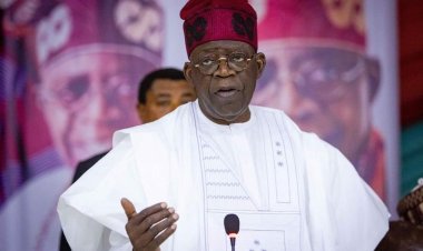 ‘Why Tinubu Should Pick Sadique Abubakar As Running Mate’