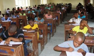 Sokoto Student Emerges Highest As NECO Releases 2022 Common Entrance Exam Results