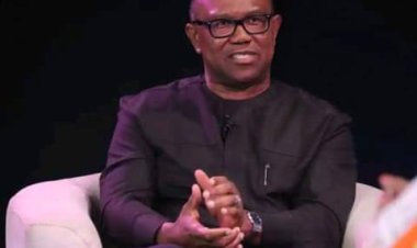 2023: Building A New Nigeria Possible, Says Peter Obi