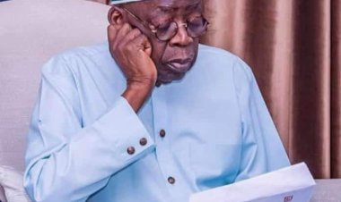 2023: ‘Unknown Persons’ Stole My Academic Certificates, Tinubu Tells INEC