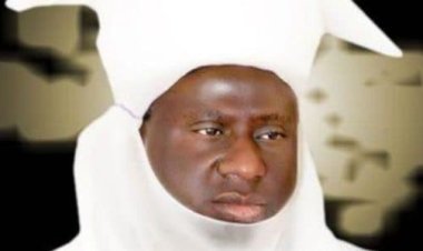 Emir Of Minna Wades Into Police, Vigilante Corps Rift