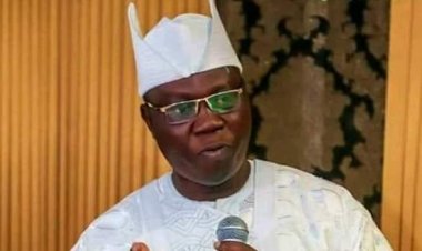 OPC’ll Prevent Repeat Of Owo Terrorist Attack , Says Gani Adams
