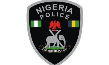 Police Arrest Woman, 29, For Stealing Neighbour’s Child In Anambra