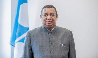 Four Things To Know About Barkindo, Late OPEC Secretary General