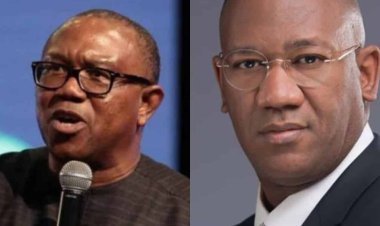 JUST IN: Why I Accepted To Be Peter Obi’s Running Mate – Dati Baba-Ahmed