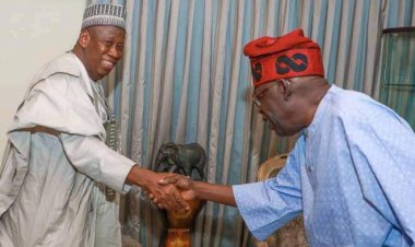 2023: Tinubu Has Agreed To Pick A Muslim Running Mate – Ganduje