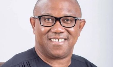 2023: We’ll Take Over Grassroots After Conquering Social Media – Peter Obi Supporters