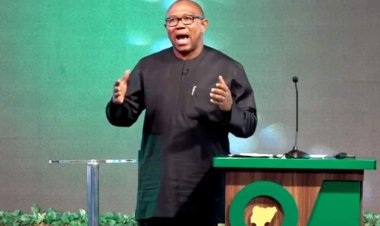 Peter Obi To Supporters : Allow Me Respond To Any Presidential Candidate Who Talks About Me