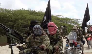 Policeman Killed As Boko Haram Fighters Ambush Borno LGA Chair