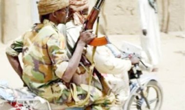 How 28 Villagers Drowned Fleeing From Security Operatives-Bandits Gun Duel