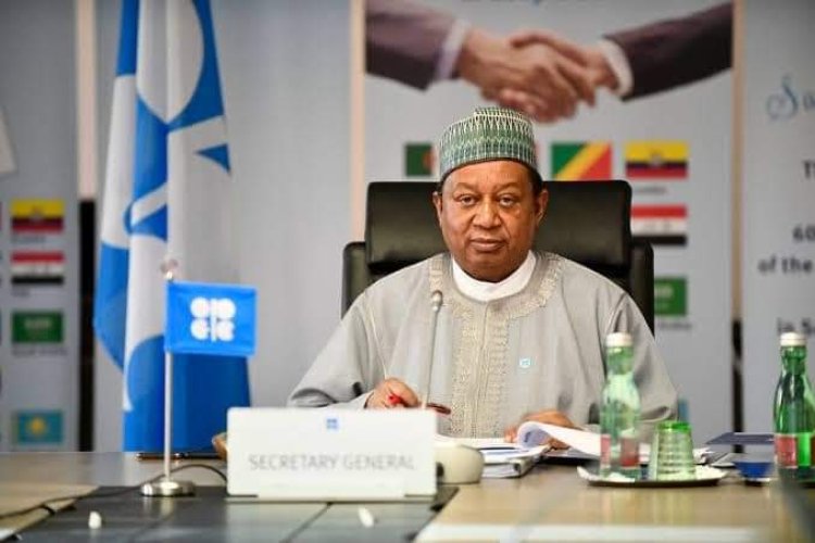 JUST IN: Barkindo, OPEC Secretary General Is Dead Hours After Meeting Buhari