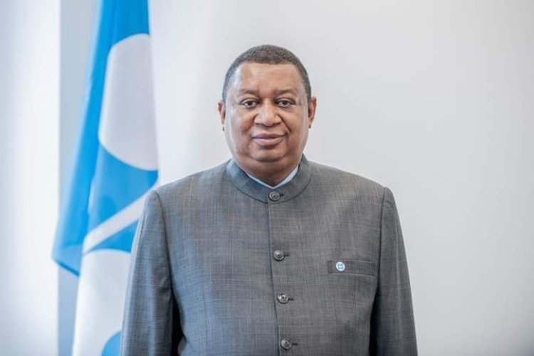 Four Things To Know About Barkindo, Late OPEC Secretary General