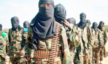 Bandits Set Aside Peace Deal As Farmers Begin Harvest In Niger