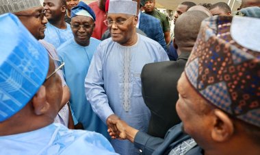 PHOTOS: Atiku, Ayu, Lamido, PDP Big Wigs Land In Kano For Shekarau’s Defection