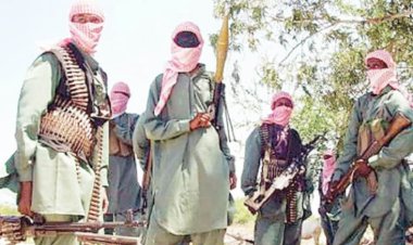 Bandits Free Abuja Family Members After Collecting N4m, Wine
