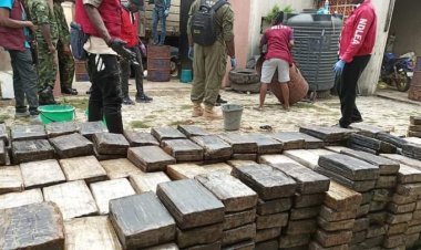 NIGERIA DAILY: How The NDLEA Intends To Dispose The Largest Bust Of Cocaine