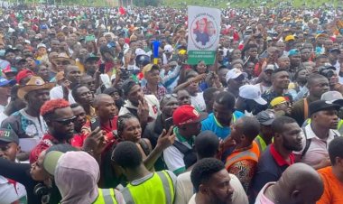 ‘We Didn’t Expect The Turnout’, Peter Obi’s Support Group Speaks Of Abuja Rally