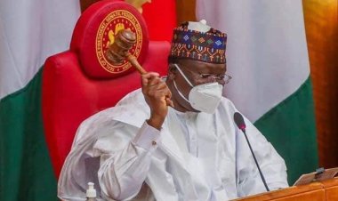 Scanner Contract: Finance Minister, CBN Governor, Customs CG Must Appear In Person, NASS Insists