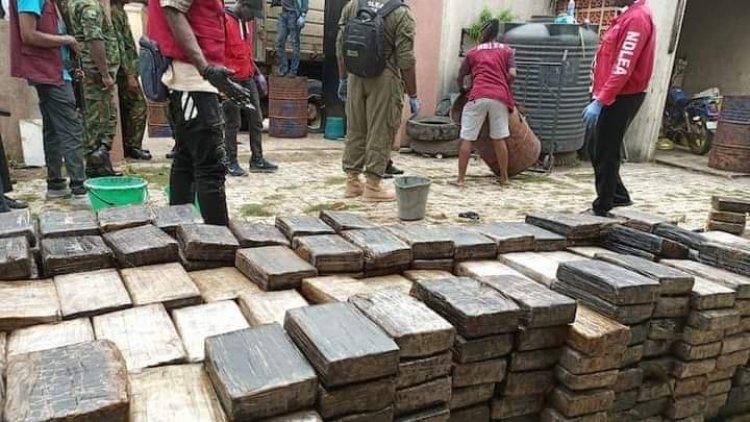 BREAKING: NDLEA Makes Largest Cocaine Seizure, Recovers Drug Worth N193bn In Lagos Warehouse