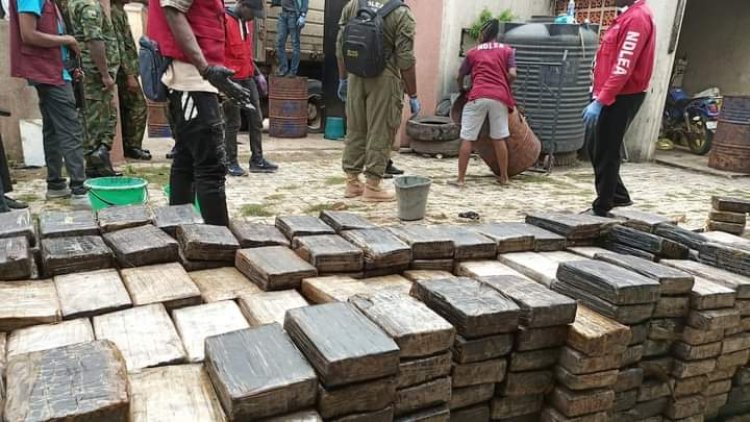 NIGERIA DAILY: How The NDLEA Intends To Dispose The Largest Bust Of Cocaine