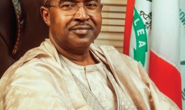 Why Nigeria Can’t Legalise Cannabis -Marwa