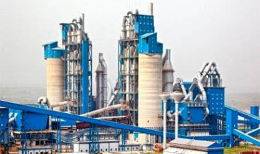 Dangote: 27 Staff Shot During Closure Of Our Factory By Kogi Govt