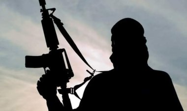 Gunmen Kidnap Ex-Anambra Lawmaker, 1 Other