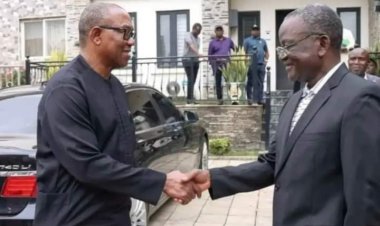 2023 Presidency: Why I Would Have Worked For Peter Obi – Ortom