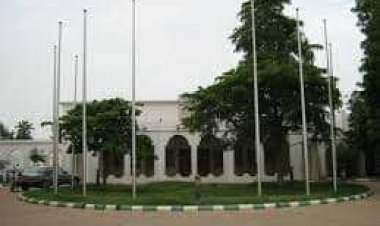 Sultanate Council, NACOMYO Celebrate Dan Fodio