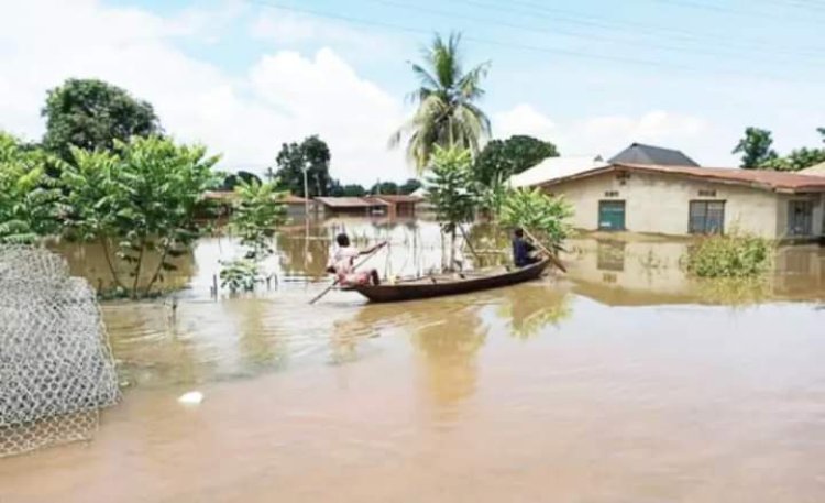 4,885 Households Ravaged By Flood In Ogun – NEMA