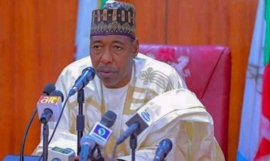 Zulum Awards N300m Scholarships To Orphans Of Deceased Civilian JTF In Borno