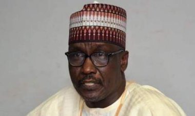 We Discovered 295 Illegal Connections To Our Pipelines – NNPC