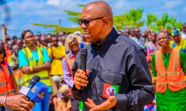 Keyamo, Dino Melaye Mock Peter Obi As His Supporters Argue Over Money