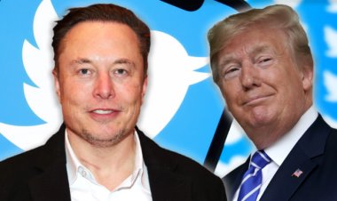 Elon Musk Lifts Donald Trump’s Twitter Ban