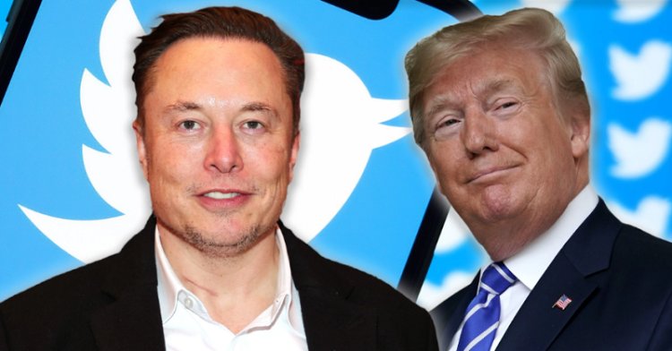 Elon Musk Lifts Donald Trump’s Twitter Ban