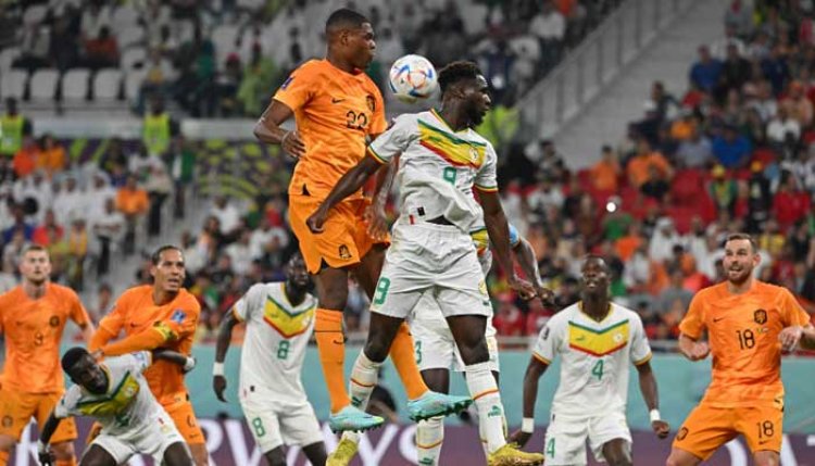 Netherlands Beat Senegal In World Cup Return
