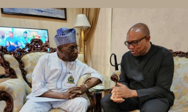 2023: Tweeps React As Obasanjo Endorses Peter Obi