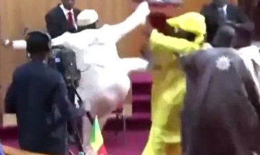 Senegal MPs jailed for kicking pregnant colleague Amy Ndiaye