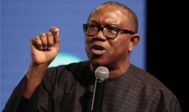 Peter Obi’s refusal to condemn IPOB/ESN is subtle endorsement, says group