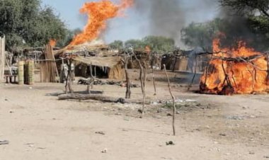 North East recovery projects gulp $2m – Coordinator