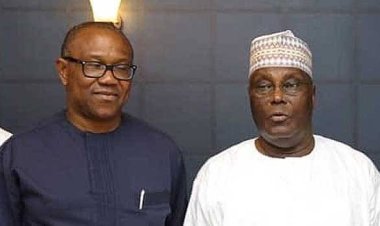 LP Presidential Spokesman, Others Dump Obi For Atiku