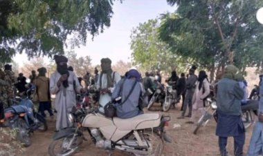 Katsina govt investigates killing of 41 by terrorists