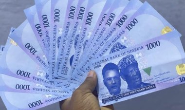 CBN: All Denominations Of Naira Being Printed To Meet Capacity