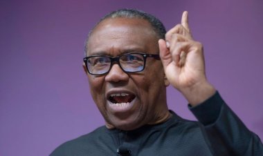 Labour Party blames Obi’s absence at debate on faulty aircraft